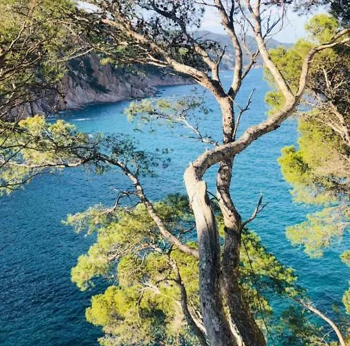 Chalana I, Cala Salions, Tossa De Mar شقة