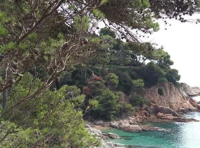 شقة Chalana I, Cala Salions, Tossa De Mar خيرونا